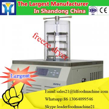 China Advanced Food Vacuum Mini Freeze Drying Machine With Large Capacity