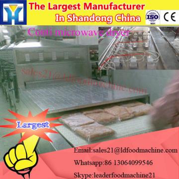 2017 new microwave electric heat vegetable fruit farm products drying equipment