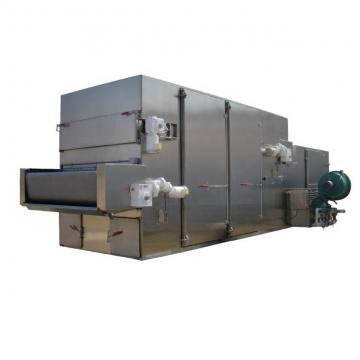 Mesh Belt Dryer for Dehydrated Fruit and Vegetable Dehydration