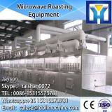 Tunnel type microwave dryer and sterilization oven for pepper powder