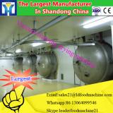 industrial microwave mesh belt drying machine for fruit /vegetable/ meat